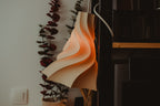 Aeolian 03 Lampshades — original designer photograph