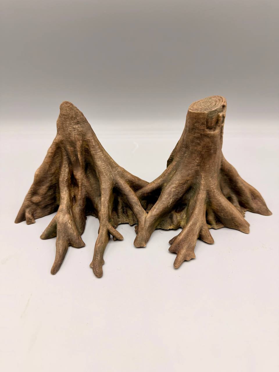 Amazonas Big Roots Background — designer reference view