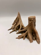 Amazonas Big Roots Background — designer reference view