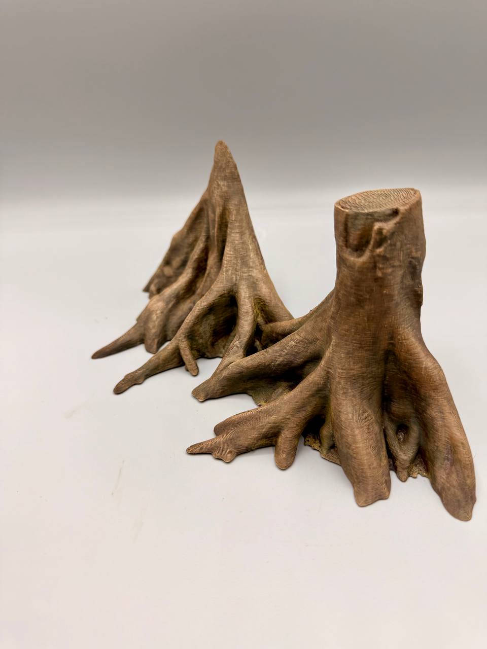 Amazonas Big Roots Background — designer reference view