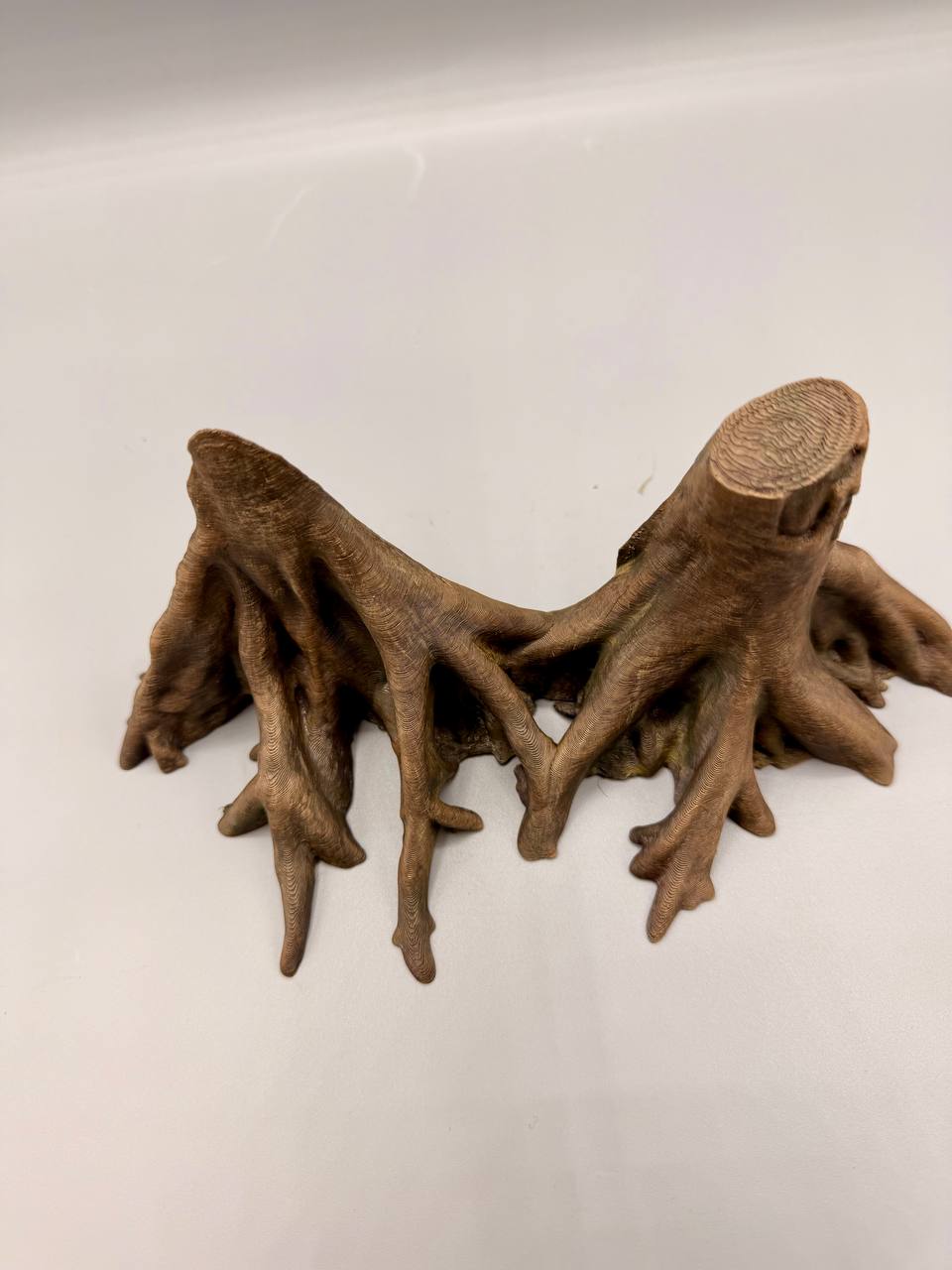 Amazonas Big Roots Background — designer reference view