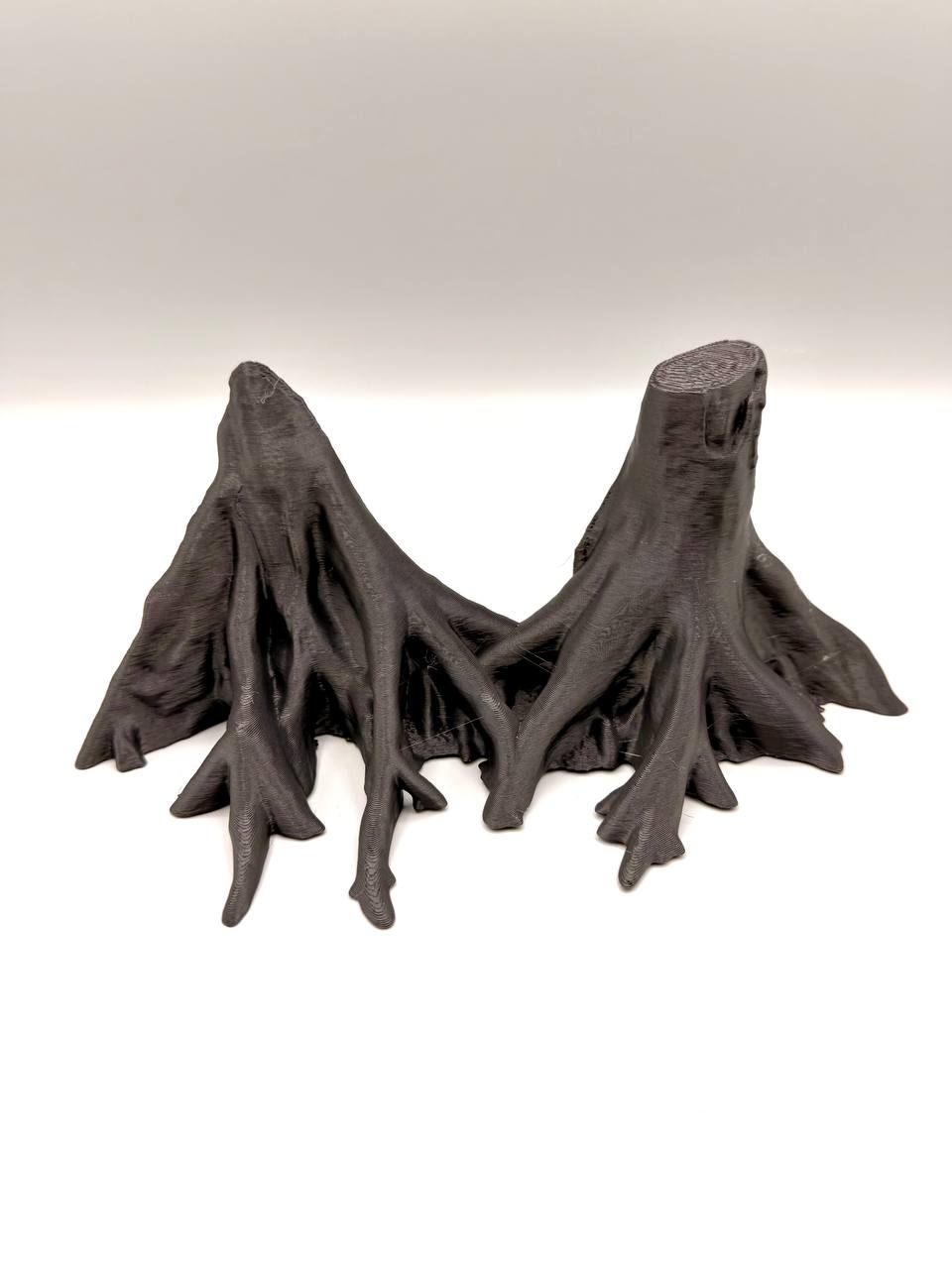 Amazonas Big Roots Background — designer reference view