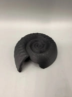 Ammonite Hide — licensed designer photo; supplied unpainted in your chosen PETG colour