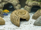 Ammonite Hide — licensed designer photo; supplied unpainted in your chosen PETG colour