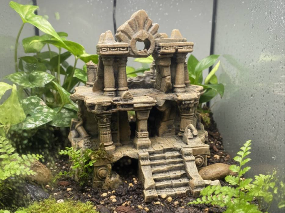 Ancient Temple — designer reference view
