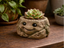 Baby Stone Planter — planted and hand-painted display example; plants not included, supplied unpainted