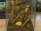 Bark Backdrop 1 — licensed product photo 01; painted example, supplied unpainted