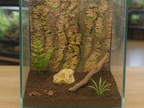 Bark Backdrop 3 — licensed source view 01; supplied unpainted, enclosure and accessories not included
