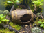 Rustic Barrel Hide, With Feet — designer example; supplied unpainted