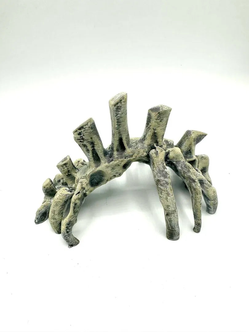 Bones | Fossil Rib Arch & Shelter Secondary image