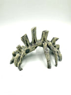 Bones — rib arch view 1
