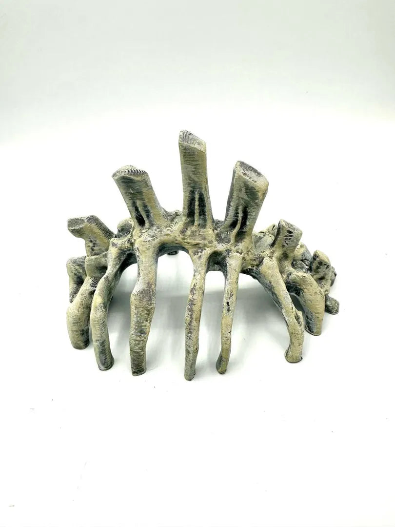 Bones — rear rib arch view