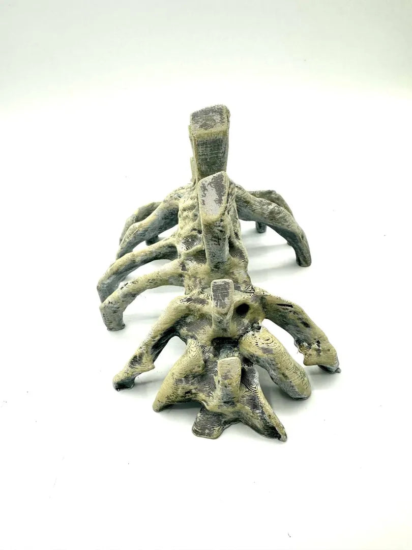 Bones — end view