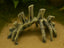 Bones — original MakerWorld profile photograph