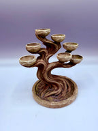 Bonsai Tree Planter — designer reference view