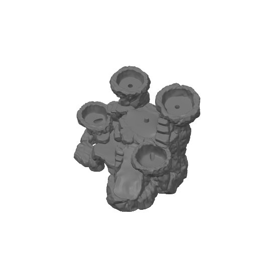 Buddha Garden – plate 5