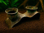 Bury-in Double Cave — original MakerWorld cover in a planted enclosure