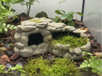 Cave Bowl — licensed designer photo; supplied unpainted in your selected PETG colour