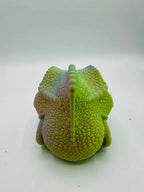 Chameleon Box — original licensed view 4