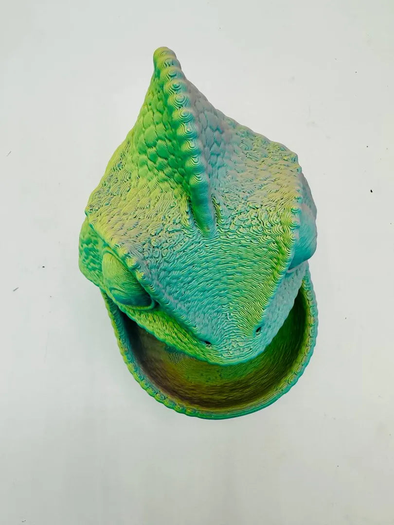 Chameleon Box — original licensed view 5