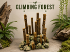 Climbing Forest – cover