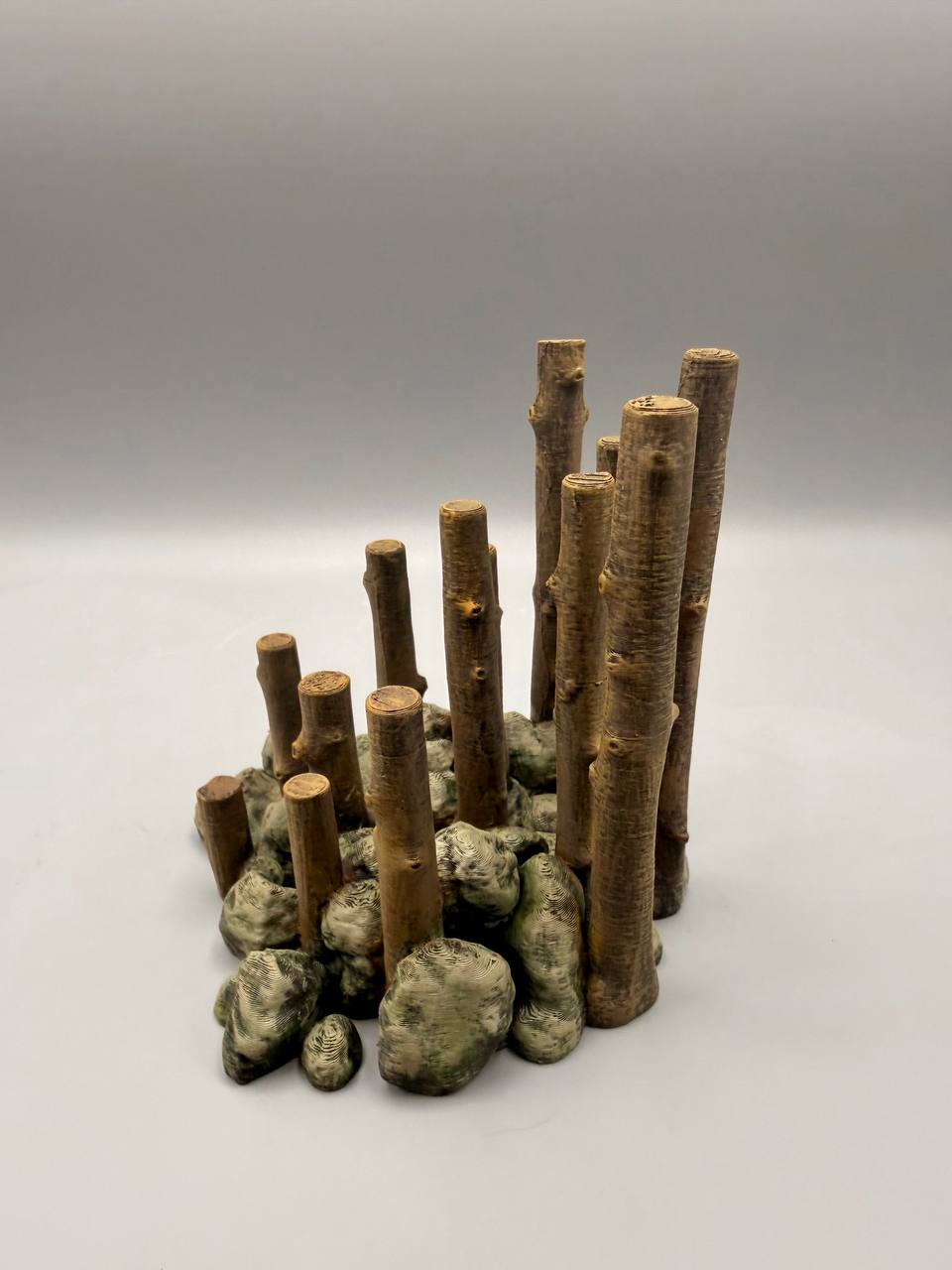 Climbing Forest – gallery