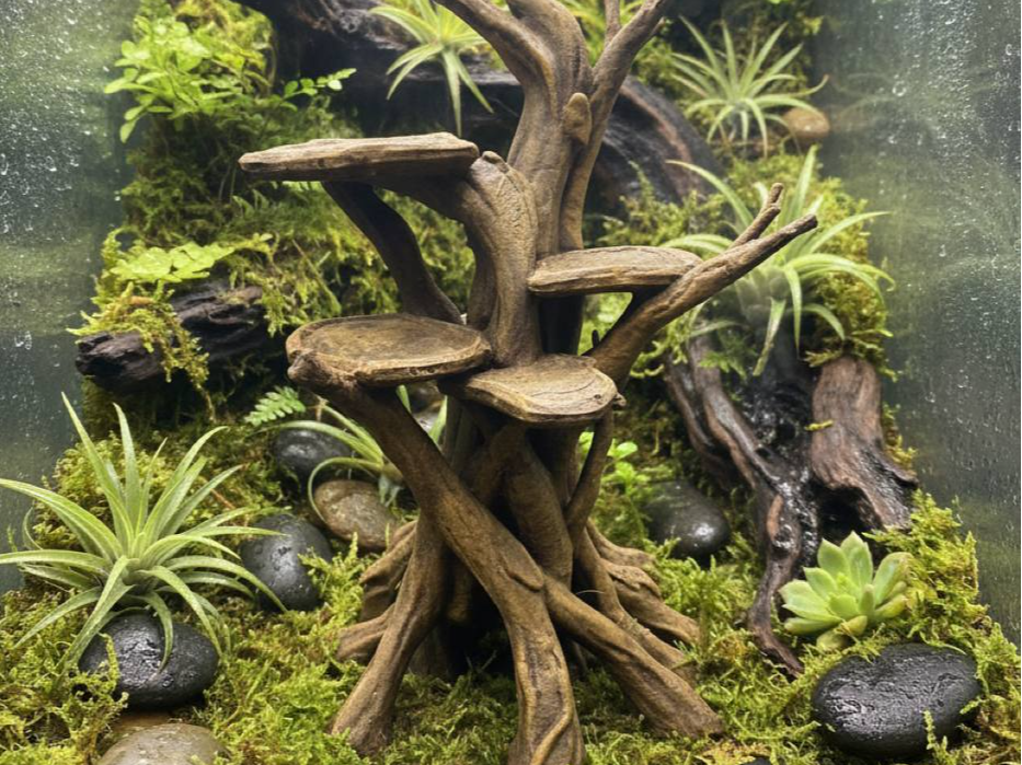 Climbing Tree — designer reference view Main image