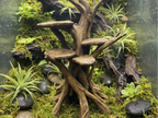 Climbing Tree — designer reference view