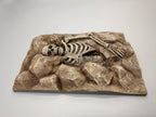 Dead Desert portrait skeleton background — designer photo 3