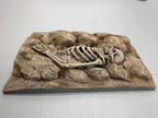 Dead Desert portrait skeleton background — designer photo 4