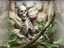 Dead Desert Wide skeleton relief background — designer photo 1