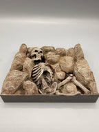 Dead Desert Wide skeleton relief background — designer photo 3