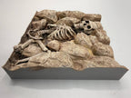 Dead Desert Wide skeleton relief background — designer photo 6