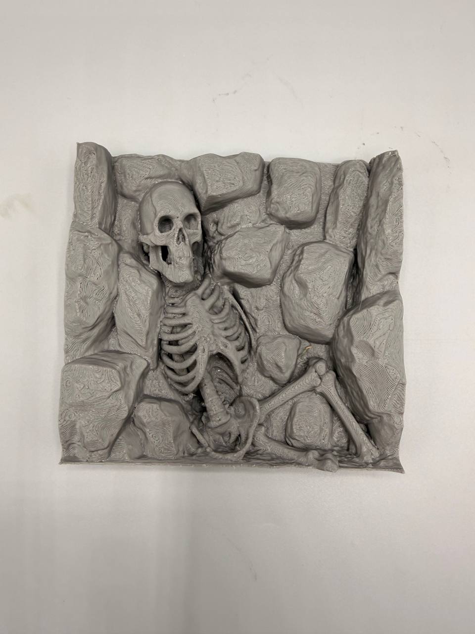 Dead Desert Wide skeleton relief background — designer photo 7
