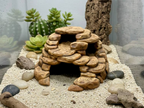 Desert Floor Cavern — designer reference view