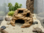 Desert Floor Cavern — designer reference view