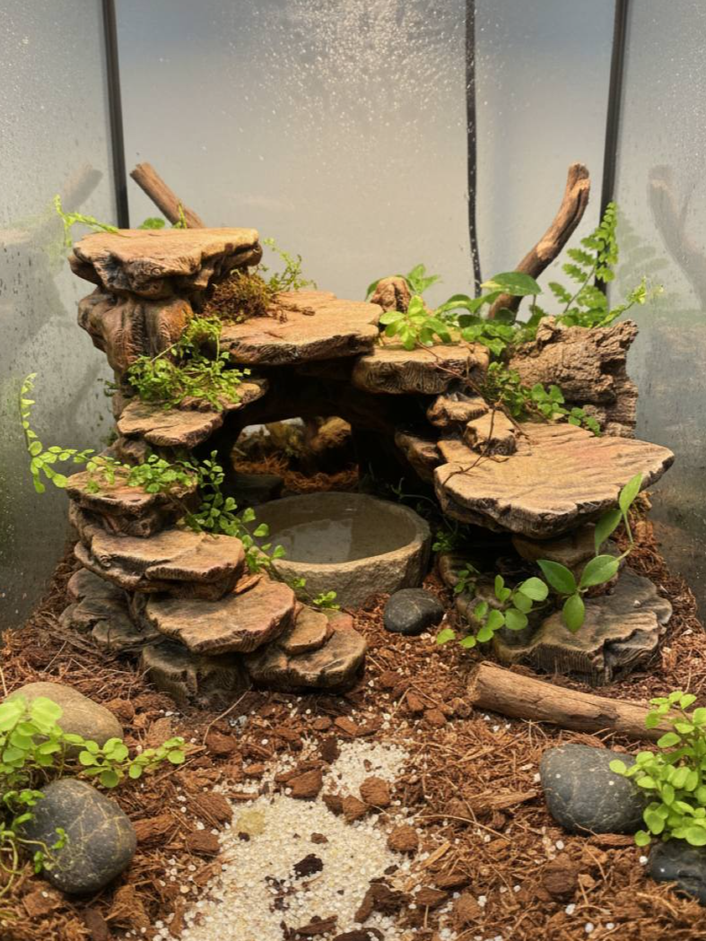 Desert Mountain | Vivarium & Terrarium Decor Secondary image