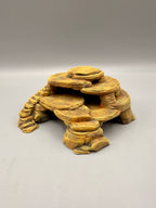 Desert Rock — designer reference view