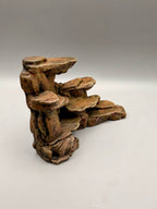 Desert Rocks – gallery