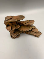 Desert Rocks – gallery