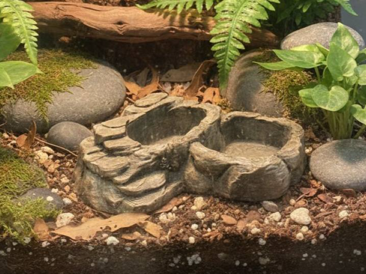 Double Bowl — designer reference view