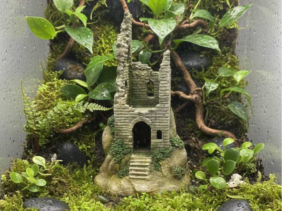 Drachenfels Ruin — licensed view 1; supplied unpainted in chosen filament colour