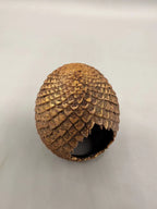 Dragon Eggs — original licensed view 3