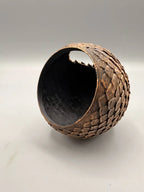 Dragon Eggs — original licensed view 4