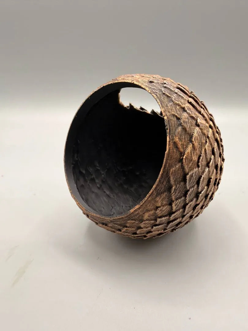 Dragon Eggs — original licensed view 4