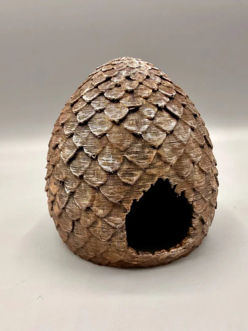 Dragon Eggs — original licensed view 5