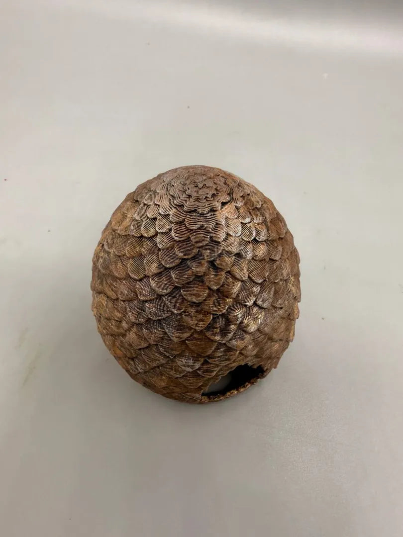 Dragon Eggs — original licensed view 6