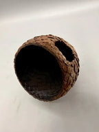 Dragon Eggs — original licensed view 7