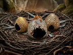 Dragon Eggs — original nest scene, Fire Dragon Egg sold separately