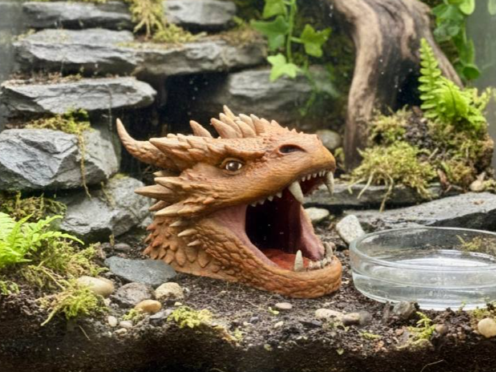 Dragon Head Hide — designer reference; supplied unpainted in chosen PETG colour